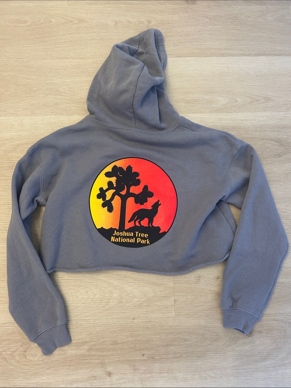 Cropped Joshua Tree Hooded Sweatshirt in Grey XS/S